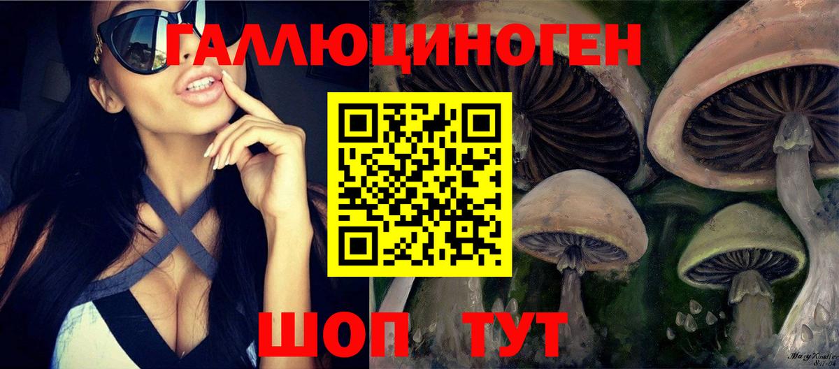 Каменка  Галлюциногенные грибы Cubensis  Вход с VPN 
